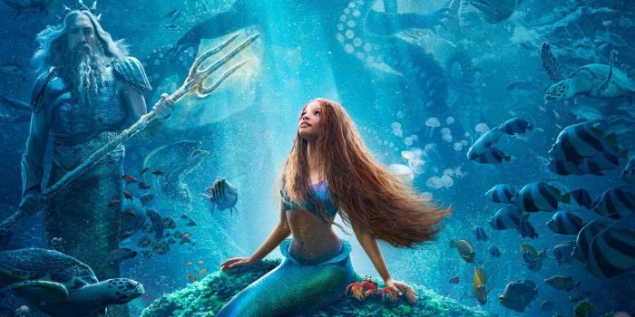 Screenrant cho biết, phiên bản live - action của The Little Mermaid (tựa Việt: Nàng Tiên Cá) đã thu về 270 triệu USD nội địa và 229 triệu USD quốc tế từ đó nâng tổng doanh thu toàn cầu lên con số 499,3 triệu USD. Ảnh sưu tầm