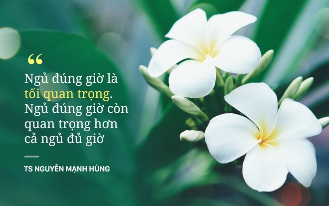 Hình minh họa 3