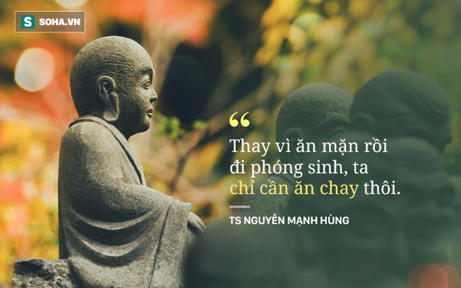Hình minh họa 11