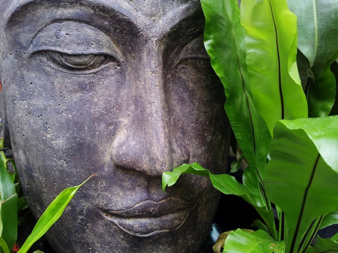 zen-178992_960_720
