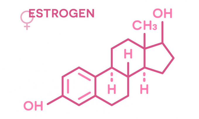 Cấu trúc phân tử estrogen