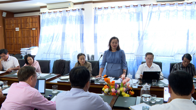 Phó chi cục trưởng Võ Thị Tĩnh trình bày báo cáo tình hình công tác dân số trên địa bàn tỉnh.