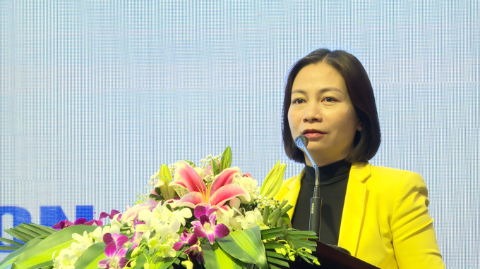 Bà Hà Thị Quỳnh Anh, Chuyên gia về giới và nhân quyền, UNFPA
