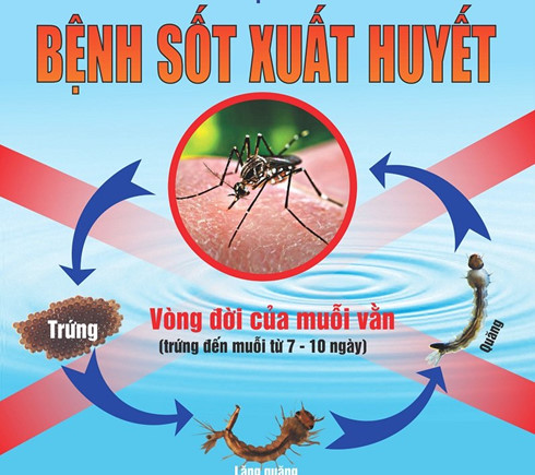 sot-xuat-huyet-o-gia-lai