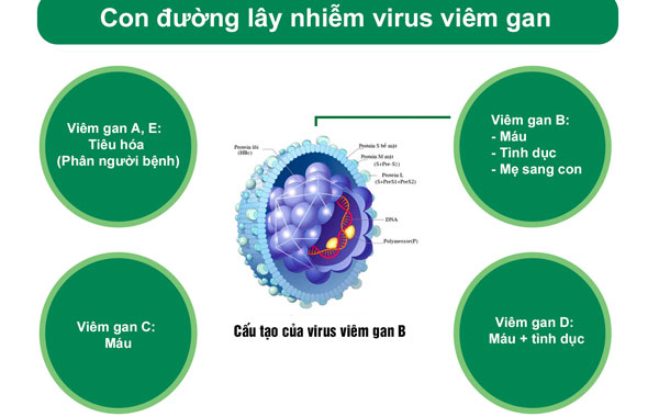 viem-gan