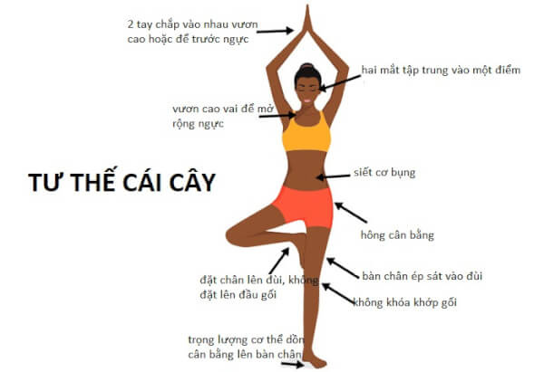 tu-the-cai-cay