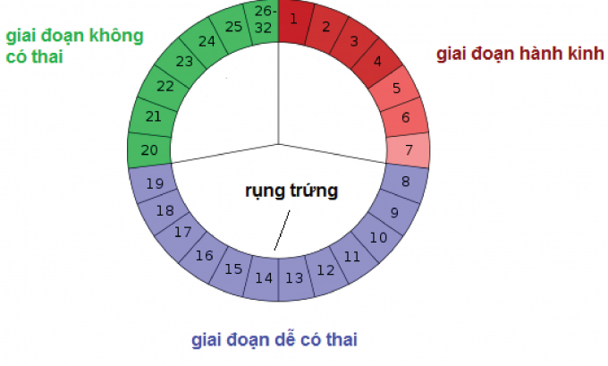 chu-ky-kinh-nguyet-tranh-thai1111