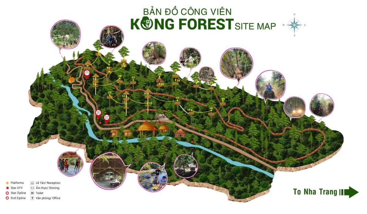 kong-forest
