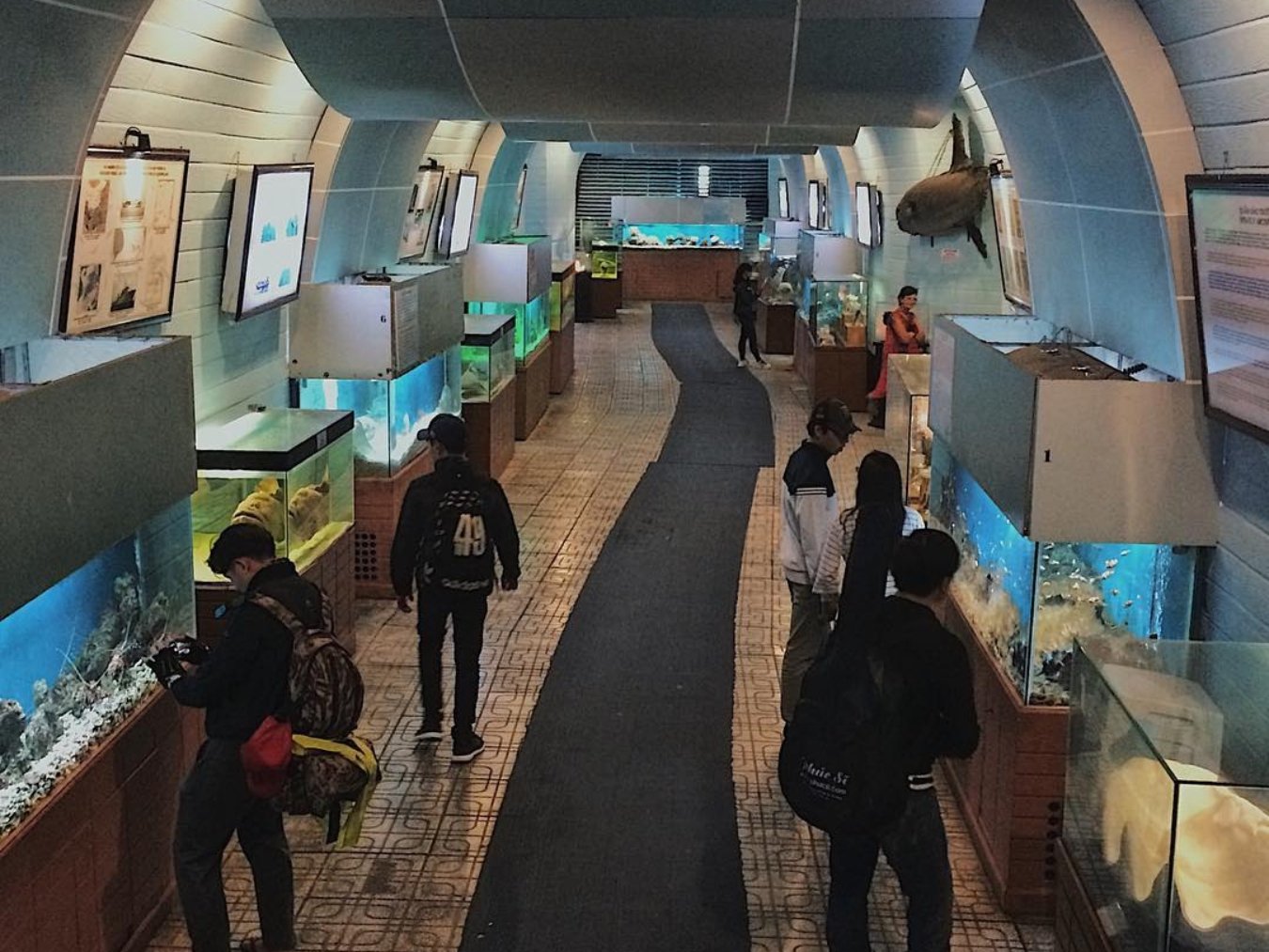 Quy mô Bảo tàng Hải dương học Nha Trang (Ảnh: Sưu tầm)