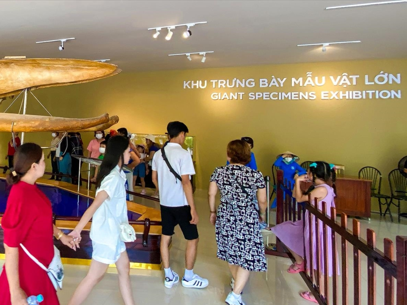 Khu mẫu vật lớn Trong Bảo tàng Hải dương học Nha Trang (Ảnh: Sưu tầm)