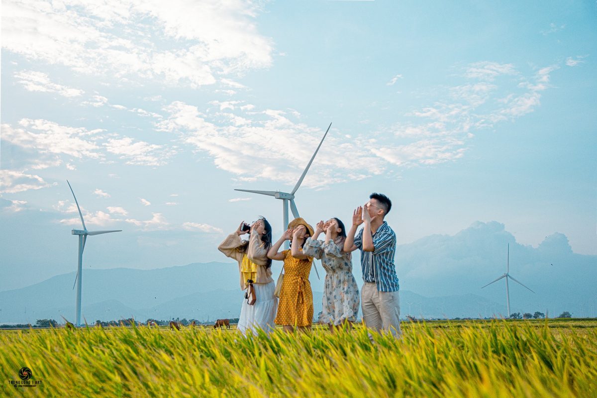 Không thể bỏ lỡ hoạt động checkin, chụp ảnh tại cánh đồng điện gió nổi tiếng Ninh Thuận