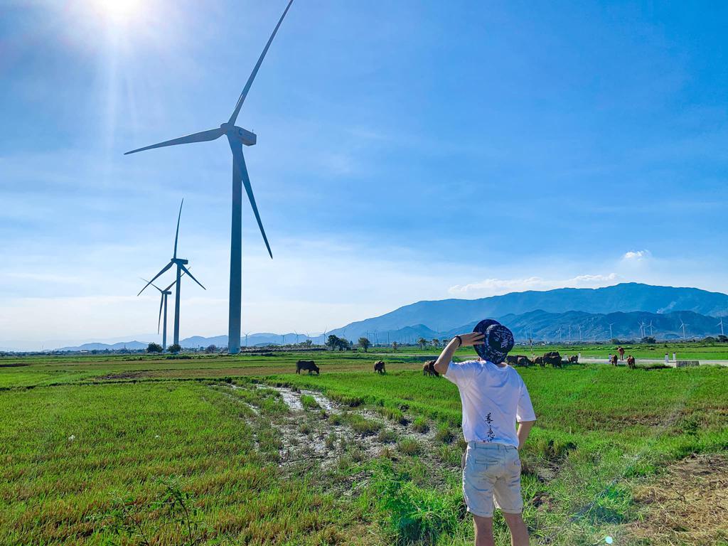 Điện gió Đầm Nại là địa điểm du lịch nổi tiếng ở Ninh Thuận