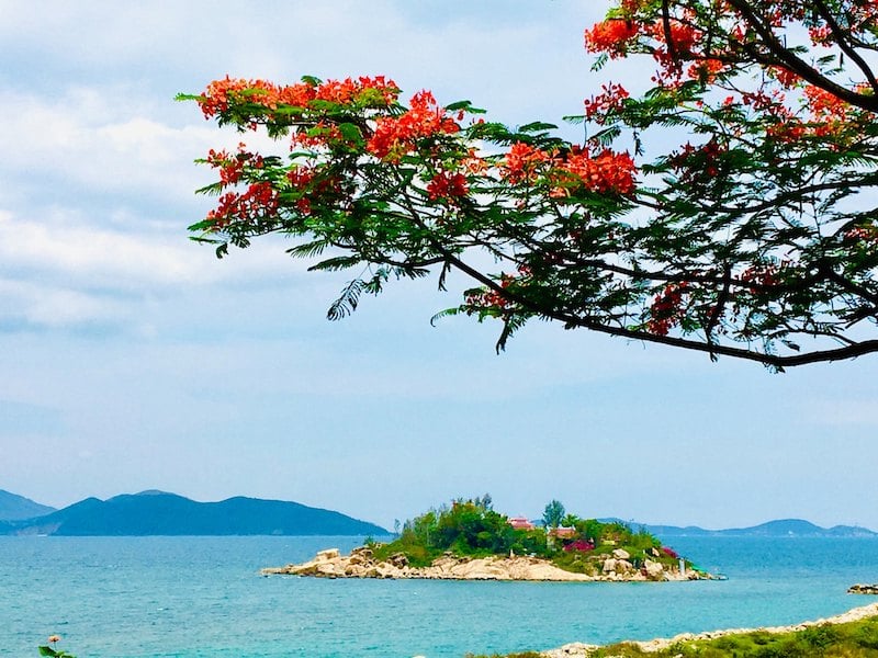 Cảnh sắc trên đảo Hòn Đỏ Nha Trang (Nguồn: Sưu tầm)