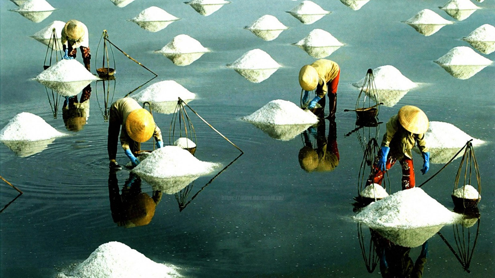 Cánh đồng muối Đầm Vua là một trong những ruộng muối nổi tiếng Ninh Thuận