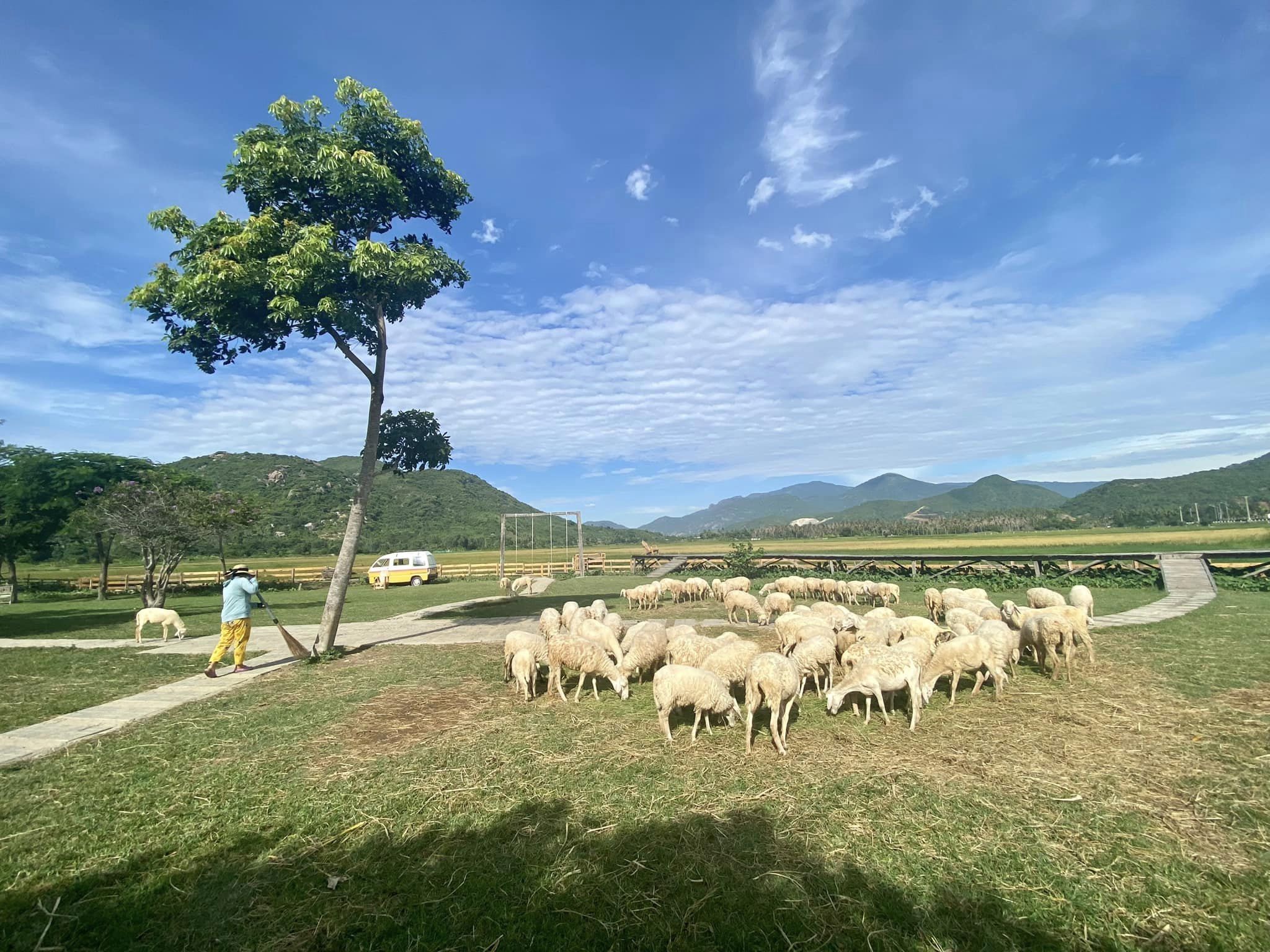 Đồng cừu Suối Tiên là điểm du lịch nằm giáp ranh với tỉnh Ninh Thuận