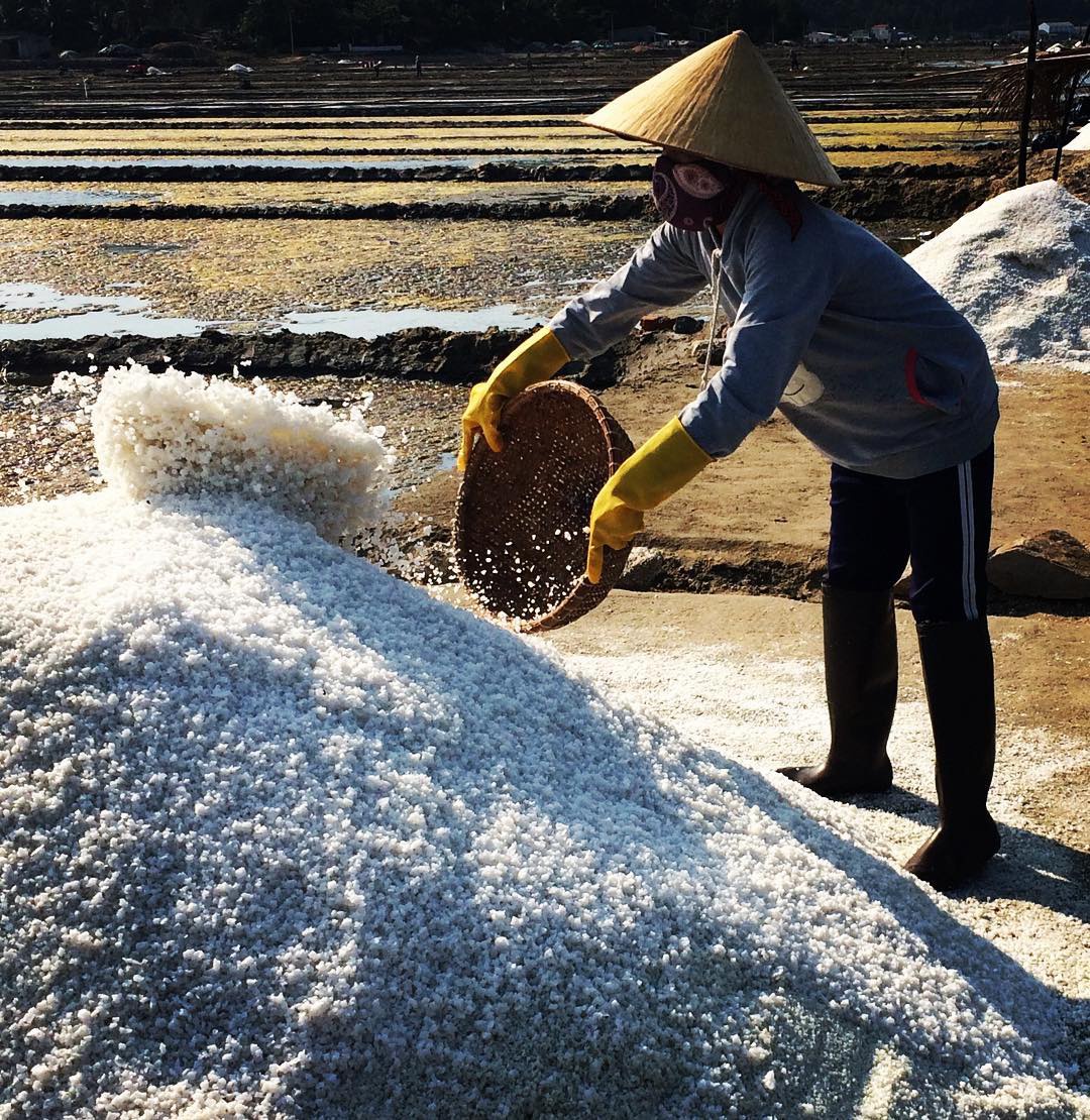 Vựa muối trắng đã tạo nên hình ảnh hấp dẫn cho đồng muối Ninh Thuận