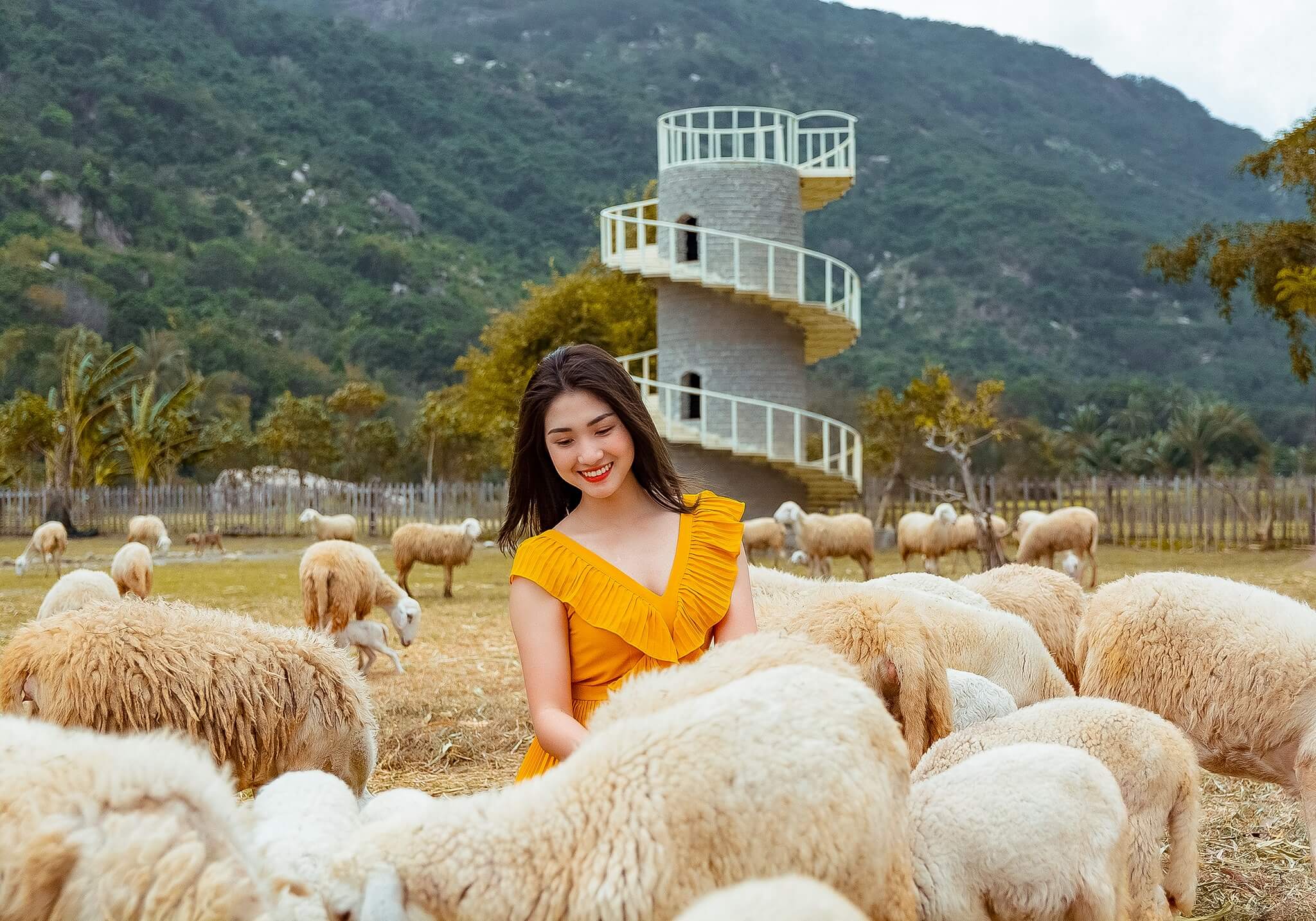 Đồng cừu Suối Tiên sẽ là một nơi ít người hơn, và bạn sẽ có cơ hội vui chơi trên một thảo nguyên rộng lớn