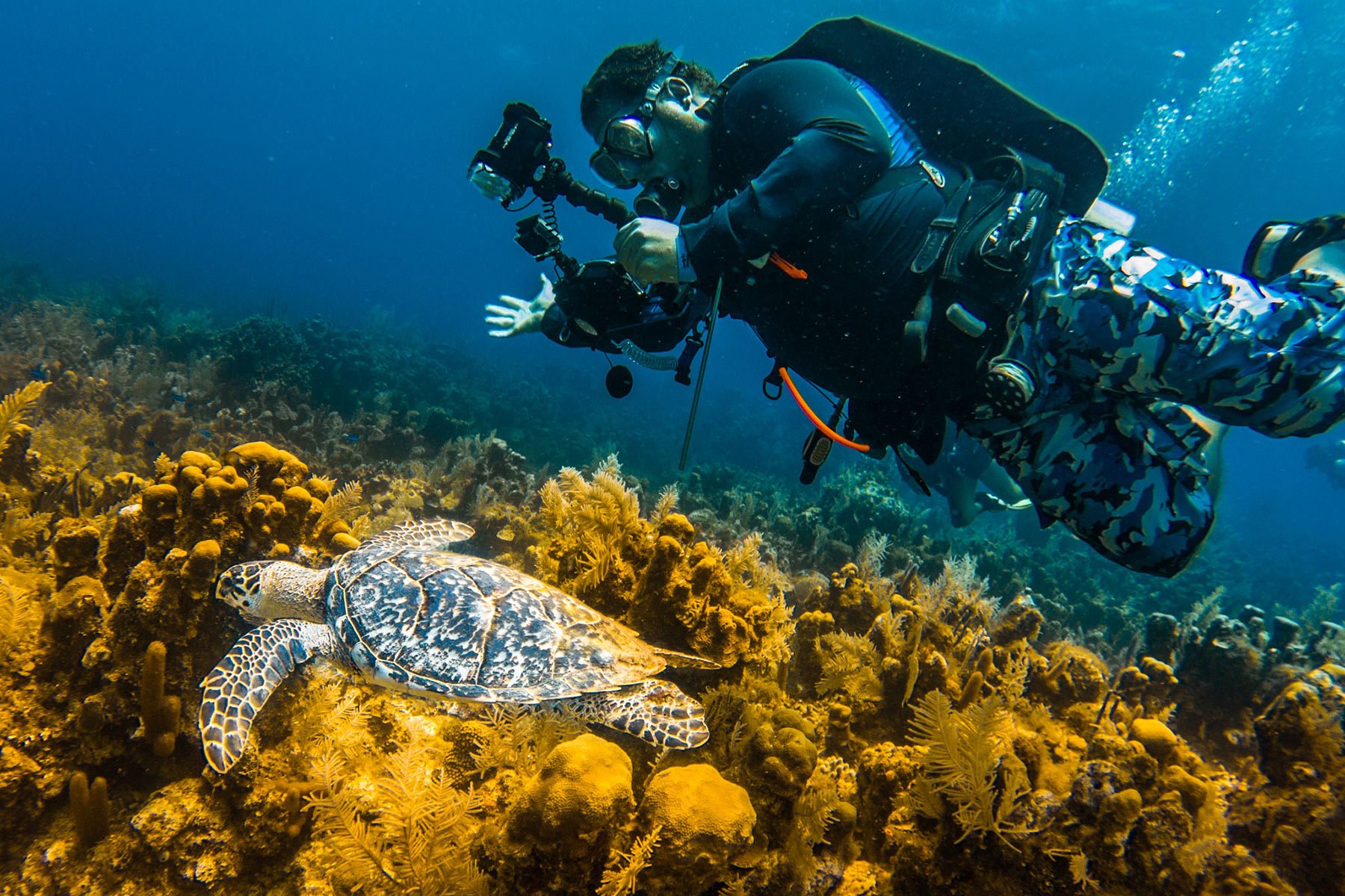 Hãy lặn biển để có cơ hội ngắm nhìn những rạn san hô tuyệt đẹp của đảo Nha Trang