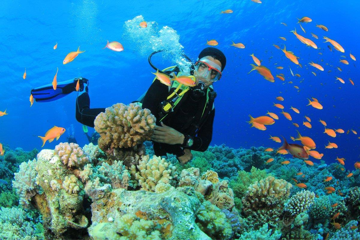 Nha Trang rất nổi tiếng với hoạt động lặn biển ngắm san hô