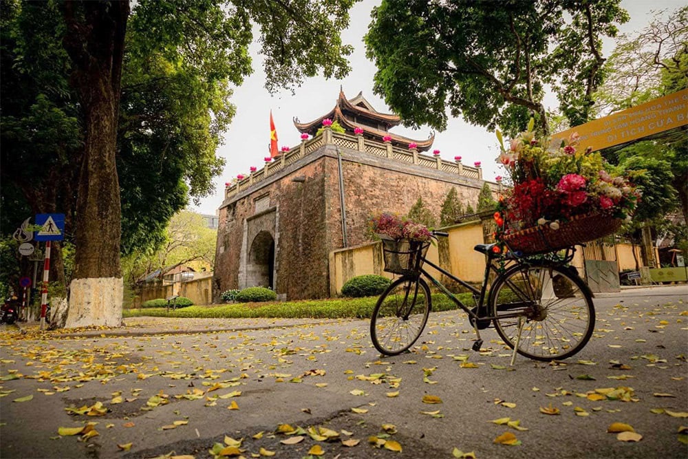 ha noi 4
