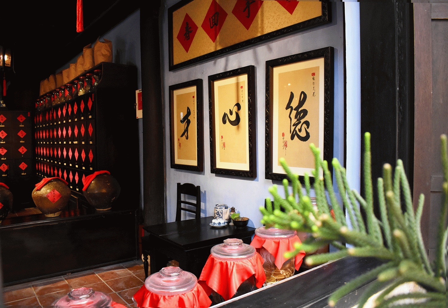 Bảo-tàng-nghề-y-truyền-thống-Hội-An-Khám-phá-di-sản-y-học-cổ-truyền-3
