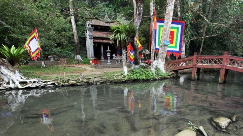 den ngoc