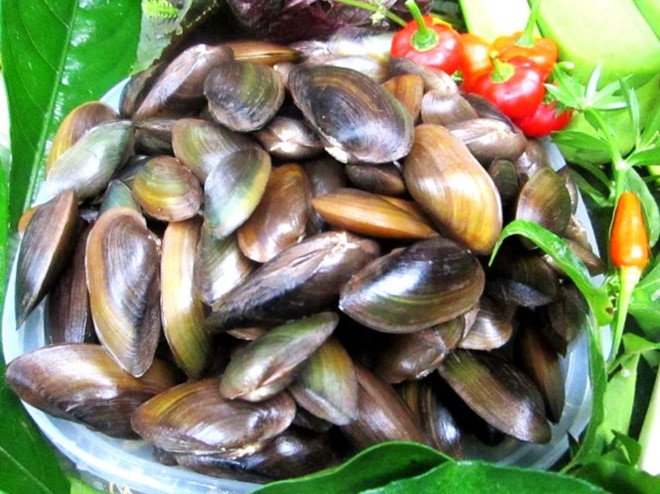 phi cau sai 5