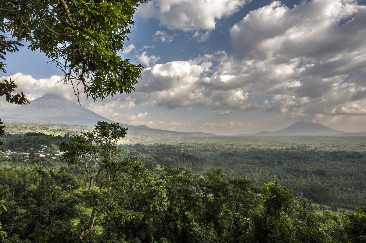 Vườn quốc gia Virunga