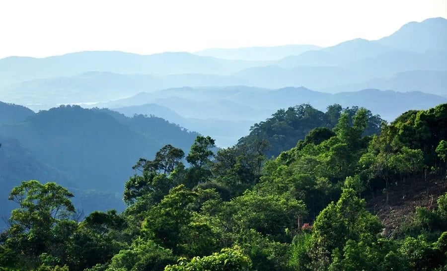 Top-26-điểm-đến-hấp-dẫn-nhất-tại-Quảng-Ngãi-hứa-hẹn-sẽ-để-lại-cho-bạn-những-kỷ-niệm-khó-quên-10