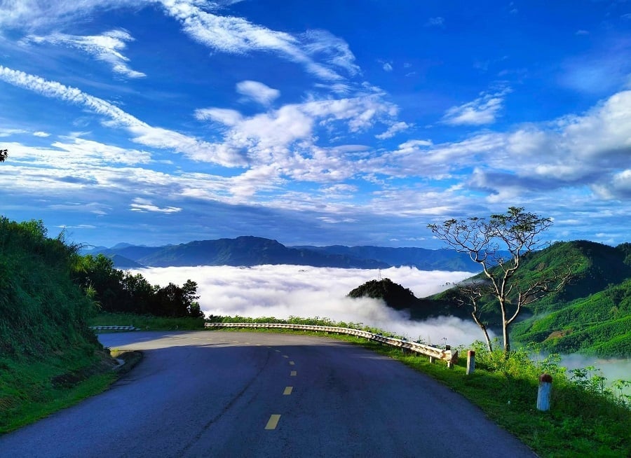 Top-26-điểm-đến-hấp-dẫn-nhất-tại-Quảng-Ngãi-hứa-hẹn-sẽ-để-lại-cho-bạn-những-kỷ-niệm-khó-quên-11