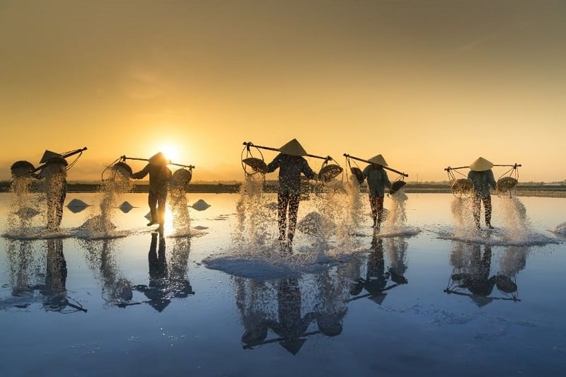 Top-26-điểm-đến-hấp-dẫn-nhất-tại-Quảng-Ngãi-hứa-hẹn-sẽ-để-lại-cho-bạn-những-kỷ-niệm-khó-quên-4