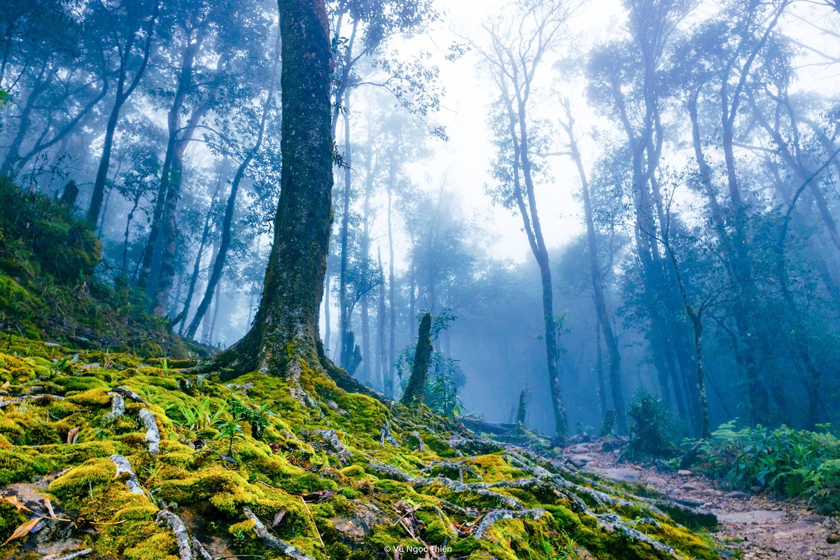 trekking-fansipan-1