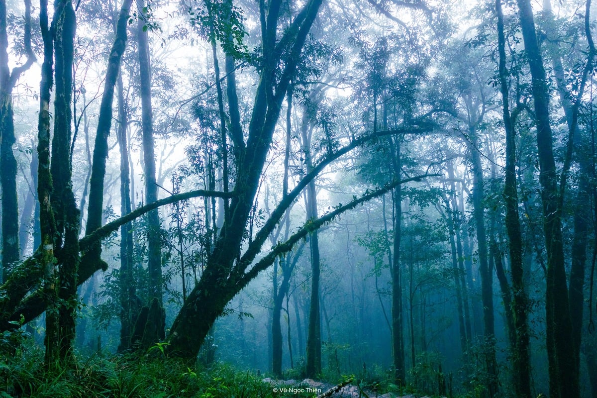 trekking-fansipan-3