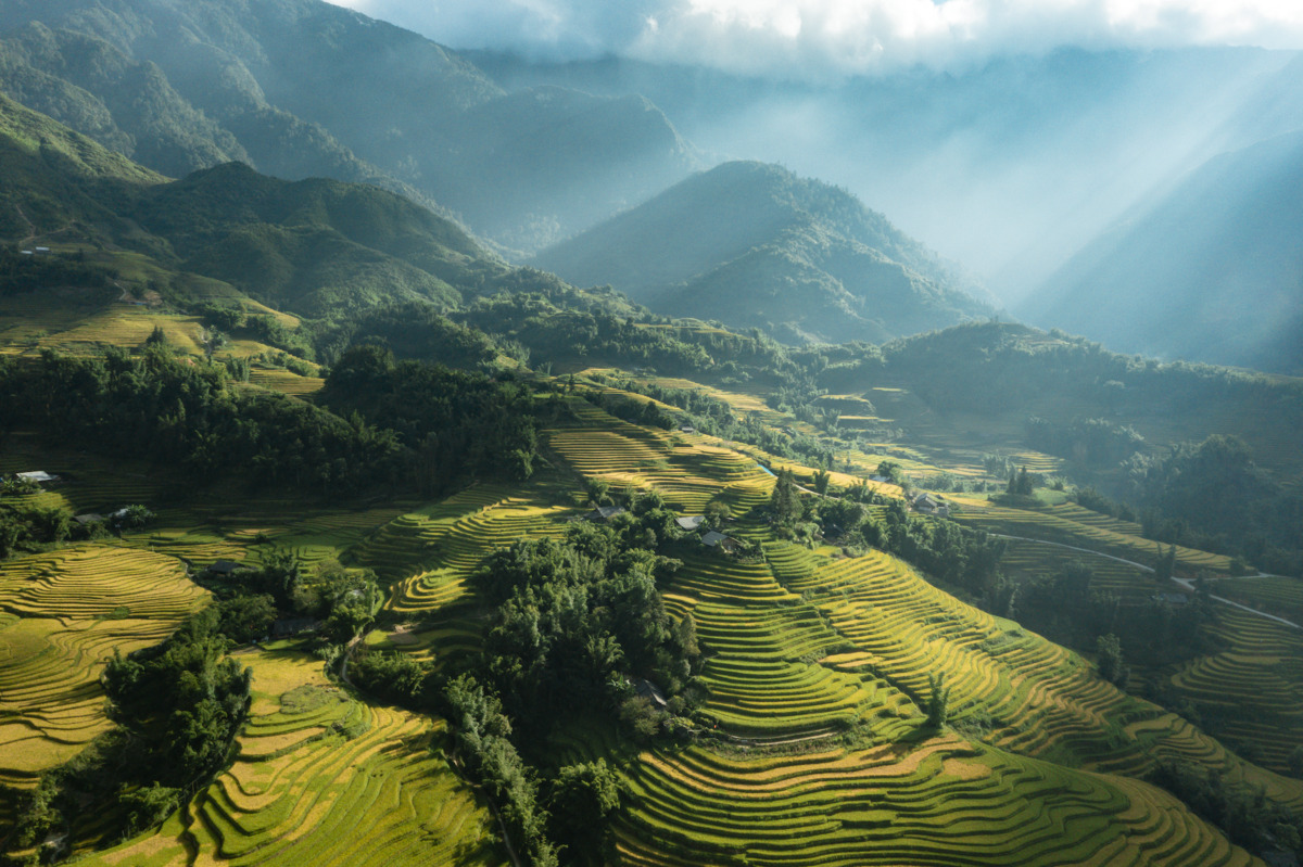 Ruộng bậc thang ở Sapa