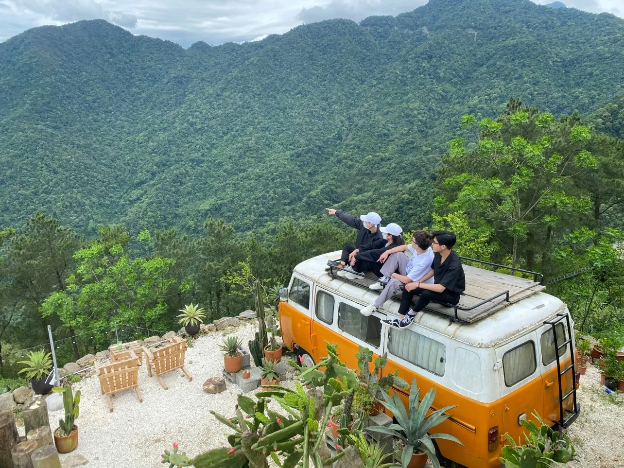 lalaland tam đảo-1