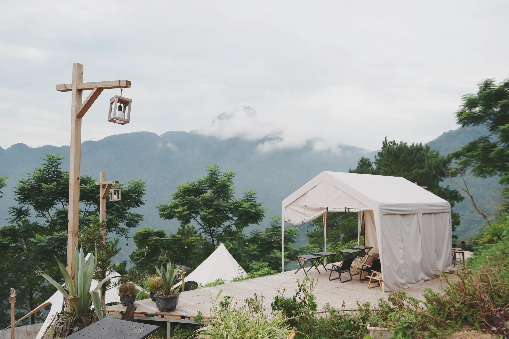 lalaland tam đảo