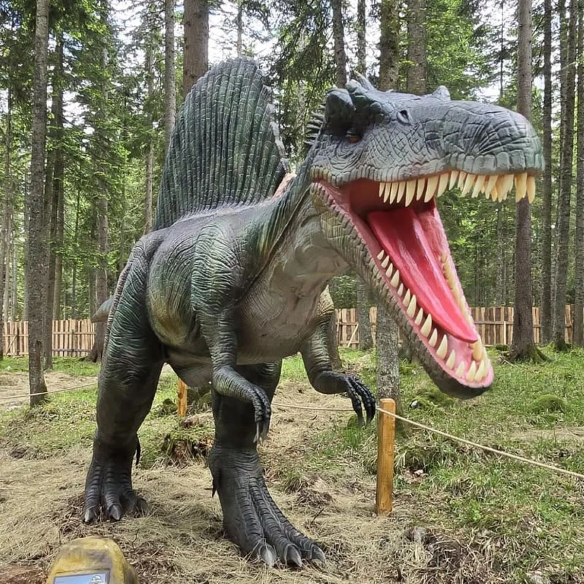 Trải nghiệm Dino Park Phan Thiết: Địa điểm vui chơi lý tưởng cho cả gia đình - ảnh 4