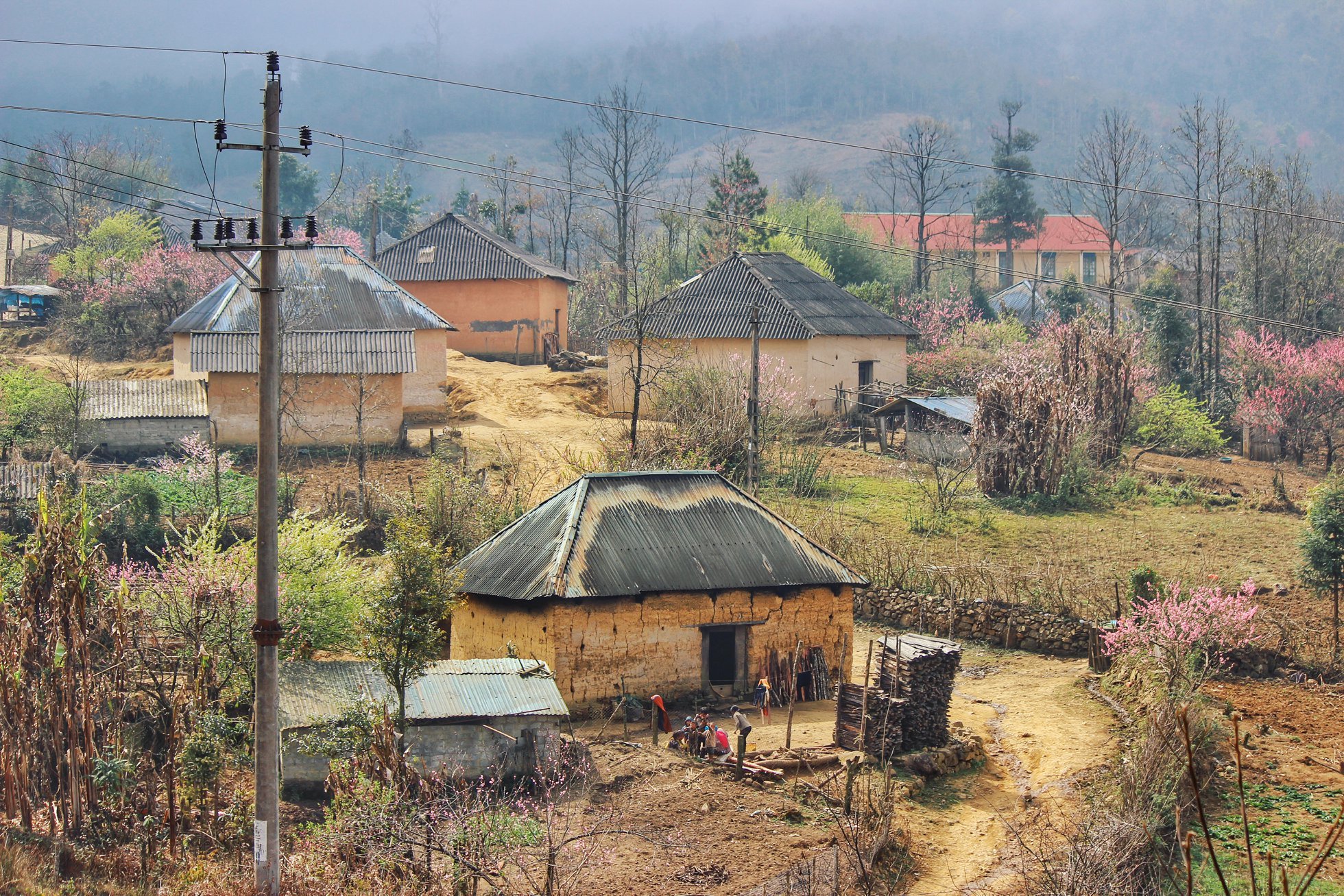 Bản Hồng Ngài Sơn La-1