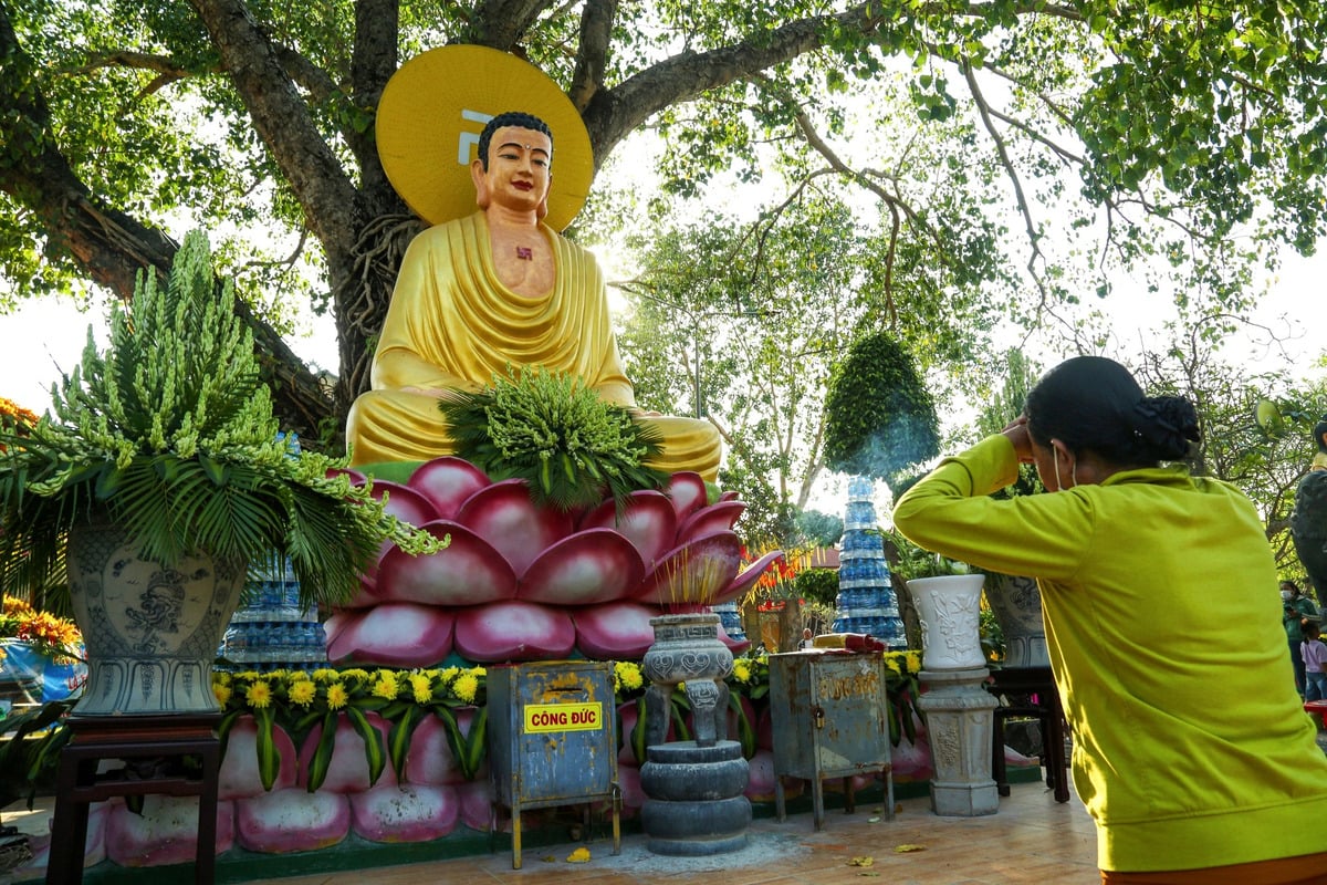 Chùa Gò Kén: Ngôi cổ tự linh thiêng giữa lòng Tây Ninh - ảnh 3