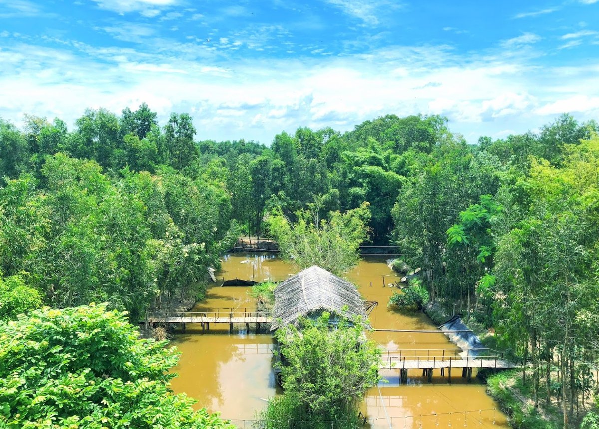 Khu bảo tồn thiên nhiên Lung Ngọc Hoàng - 'Lá phổi xanh' giữa lòng Hậu Giang - ảnh 1