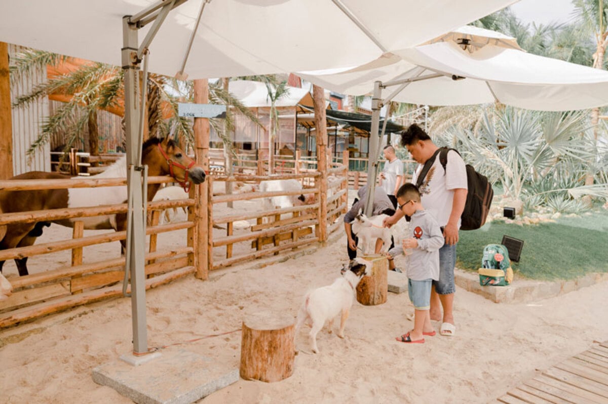 Mango Beach Bar Mũi Né - Phan Thiết: Điểm dừng chân hấp dẫn cho những tín đồ thích sống ảo - ảnh 3