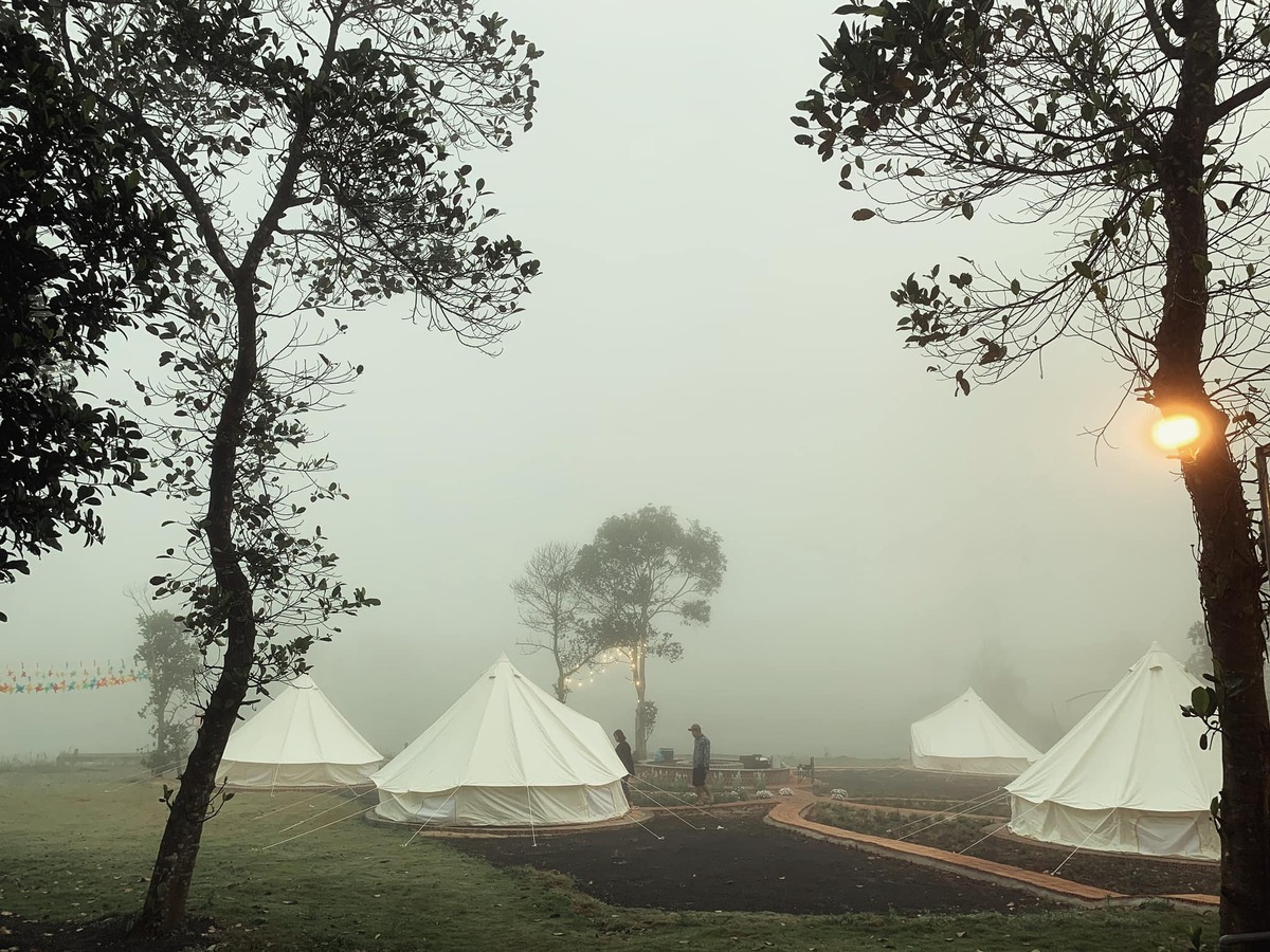 Phú Yên Camping Trip - Khu cắm trại lý tưởng không nên bỏ lỡ hè 2025 - ảnh 3