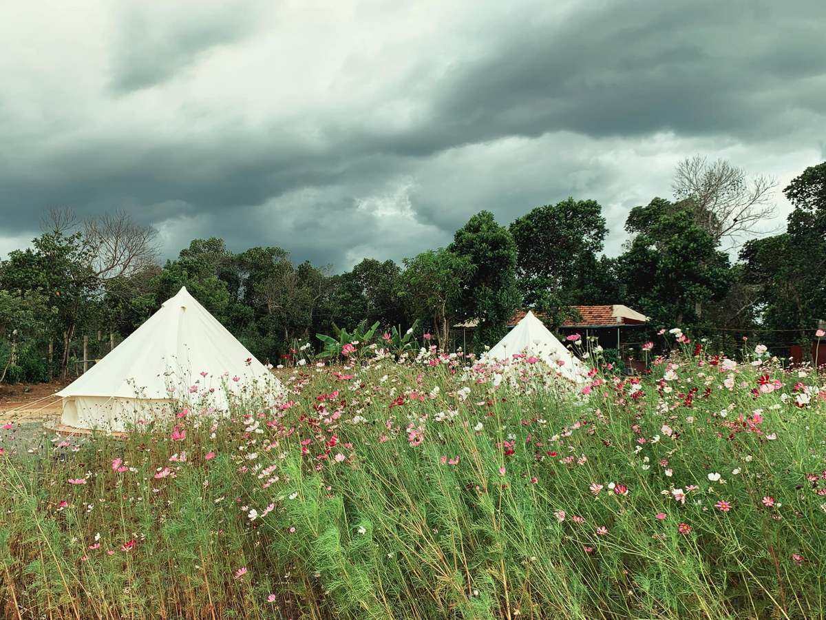 Phú Yên Camping Trip - Khu cắm trại lý tưởng không nên bỏ lỡ hè 2025 - ảnh 6