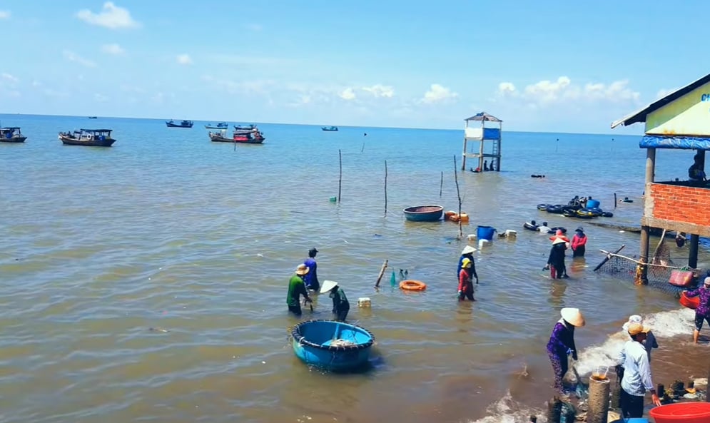 Biển Cồn Bửng Bến Tre-2