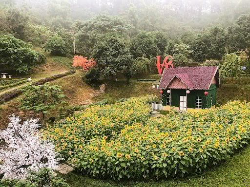 Cắm trại Nam Định-4