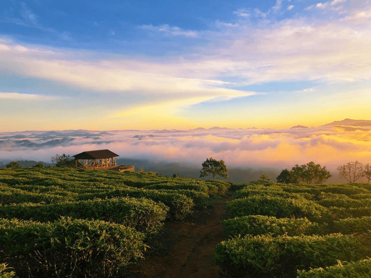 diem-ngam-hoang-hon-da-lat-5