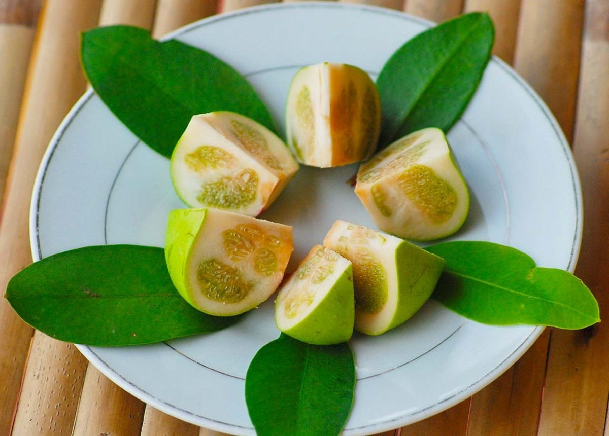 Lẩu bần phù sa: Đặc sản 'gây thương nhớ' của Cần Thơ - ảnh 2