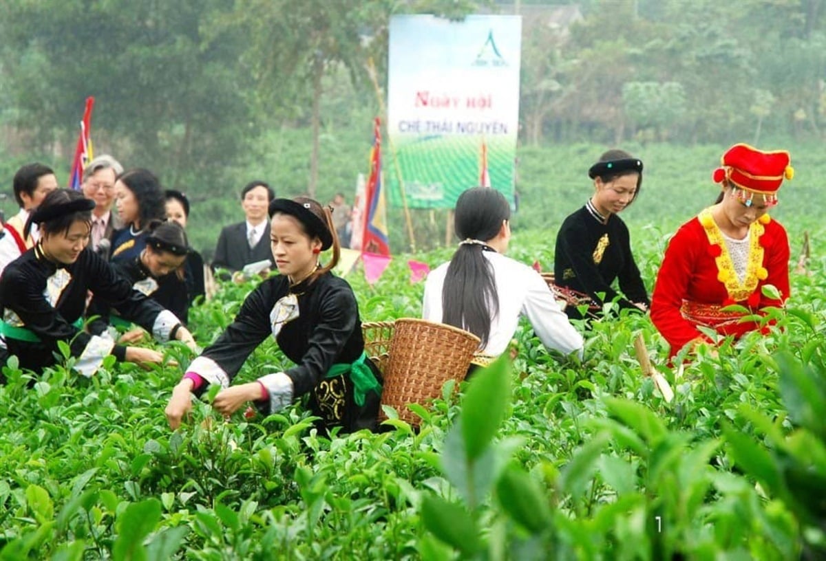 le-hoi-noi-teing-o-da-lat-3