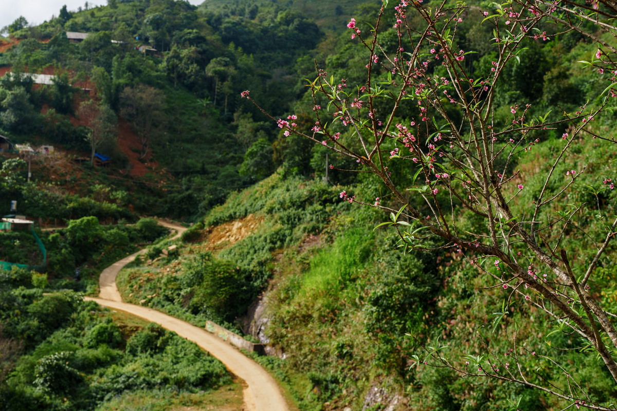 Tà Xùa cách Hà Nội bao nhiêu km-1