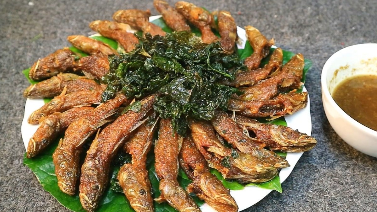 Thưởng thức cá bống sông Trà: Đặc sản Quảng Ngãi nức tiếng gần xa - ảnh 4